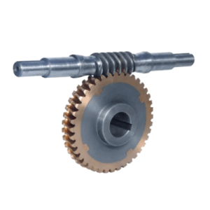 worm gear box (1)